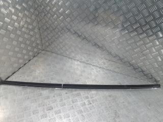 молдинг двери задней правой Tesla Model X 1 поколение 2019, Электро , цвет, 1032168-88