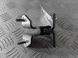 петля двери Tesla Model 3 1 поколение 2019, Электро , цвет, 11091333