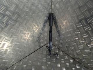 Амортизатор двери Tesla Model X 1 поколение 2019, Электро , цвет, 1063441