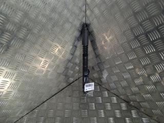 Амортизатор двери Tesla Model X 1 поколение 2019, Электро , цвет, 1063441