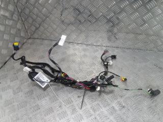 дверная проводка Tesla Model X 1 поколение 2019, Электро , цвет, 2032442