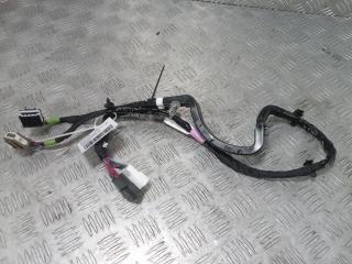 дверная проводка Tesla Model X 1 поколение 2019, Электро , цвет, 1063406