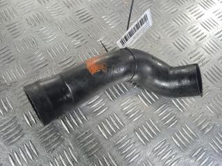 патрубок (трубопровод, шланг) Opel Astra G 2001, цвет