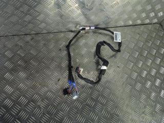 дверная проводка Tesla Model X 1 поколение 2019, Электро , цвет, 1063405