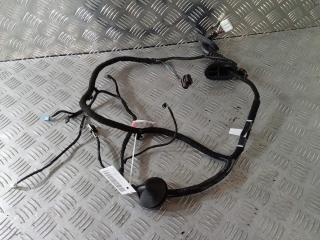 дверная проводка Tesla Model 3 1 поколение 2019, Электро , цвет, 2067965