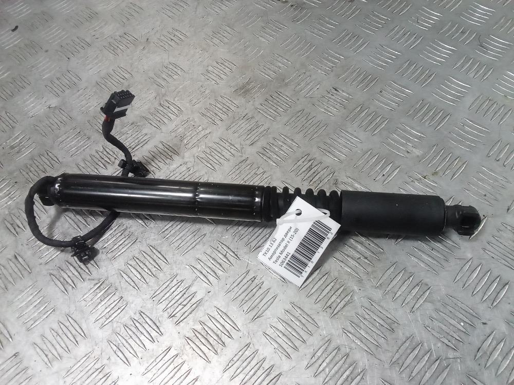 Амортизатор двери Tesla Model X 1 поколение 2019, Электро , цвет, 1063441 - фото №1