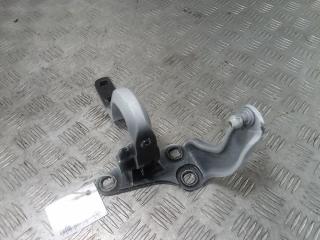 петля двери Tesla Model X 1 поколение 2019, Электро , цвет, 1898789