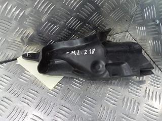 пластик моторного отсека Tesla Model 3 1 поколение 2019, Электро , цвет, 1081695