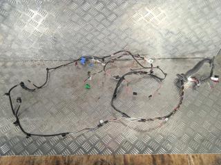 дверная проводка Tesla Model 3 1 поколение 2019, Электро , цвет, 1067963