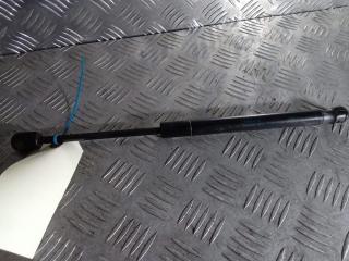 амортизатор капота Tesla Model X 1 поколение 2019, Электро , цвет, 1053606