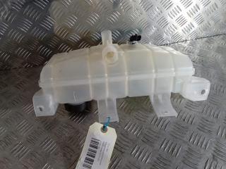 бачок расширительный Tesla Model X 1 поколение 2019, Электро , цвет, 1036124