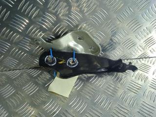 петля капота правая Tesla Model 3 1 поколение 2019, Электро , цвет, 1098793