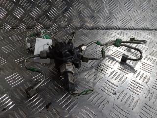 топливная рампа Renault Logan 1 поколение 2008, Дизель 1.5, цвет, 8200379933