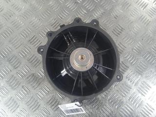 динамик Tesla Model 3 1 поколение 2019, Электро , цвет, 1079744