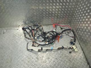 проводка Tesla Model 3 1 поколение 2019, Электро , цвет, 1067955