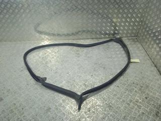 уплотнитель Tesla Model 3 1 поколение 2019, Электро , цвет, 1090499