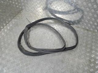 уплотнитель Tesla Model X 1 поколение 2019, Электро , цвет