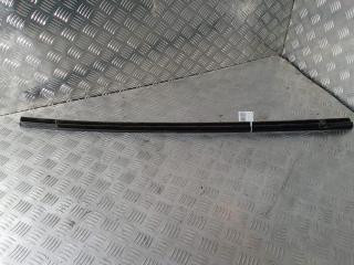 молдинг двери задней левой Tesla Model 3 1 поколение 2019, Электро , цвет, 1080745