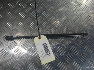 амортизатор капота Tesla Model X 1 поколение 2019, Электро , цвет, 1053606