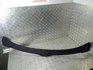 дождевик Tesla Model 3 1 поколение 2019, Электро , цвет, 1083369