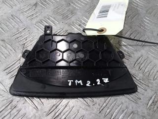 пластик Tesla Model 3 1 поколение 2019, Электро , цвет, 1086333