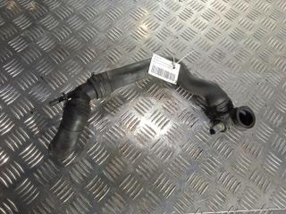 патрубок (трубопровод, шланг) Volkswagen Sharan 1 поколение [2-й рестайлинг] 2005, цвет