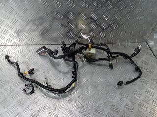 проводка Tesla Model 3 1 поколение 2019, Электро , цвет, 1068767