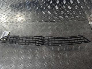 Заглушка (решетка) в бампер передний Tesla Model X 1 поколение 2019, Электро , цвет, 1050143