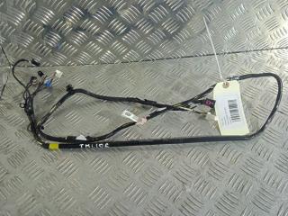 проводка Tesla Model 3 1 поколение 2019, Электро , цвет, 1068787