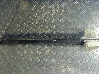 амортизатор крышки багажника (3-5 двери) Tesla Model X 1 поколение 2019, Электро , цвет, 1129698