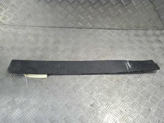 молдинг двери задней левой Tesla Model X 1 поколение 2019, Электро , цвет, 1035203