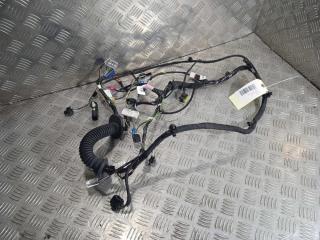 дверная проводка Tesla Model X 1 поколение 2019, Электро , цвет, 1032440