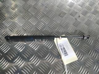 амортизатор капота Tesla Model X 1 поколение 2019, Электро , цвет, 1033879