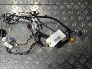 дверная проводка Tesla Model X 1 поколение 2019, Электро , цвет, 2032442