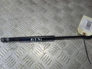 амортизатор капота Tesla Model X 1 поколение 2019, Электро , цвет, 1033879