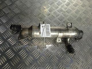 охладитель EGR / Радиатор EGR Volkswagen Sharan 1 поколение [2-й рестайлинг] 2005, цвет