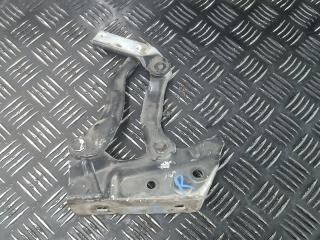 петля капота Mercedes-Benz B-Класс W245 [рестайлинг] 2008, 2.0 л., D B200 CDI, дизель, АКПП, универсал