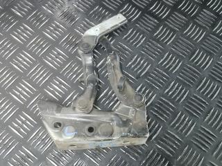 петля капота Mercedes-Benz B-Класс W245 [рестайлинг] 2008, 2.0 л., D B200 CDI, дизель, АКПП, универсал