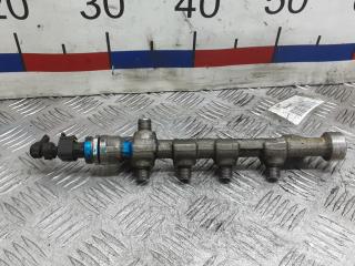 топливная рампа Opel Insignia 1 поколение (A) 2010, 2.0 л., дизель, МКПП, хетчбэк 5 дв.