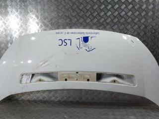 капот Peugeot Expert 2 поколение 2011, цвет