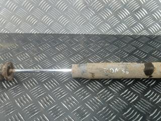 амортизатор задний Mercedes-Benz Sprinter 2 поколение (W906) 2011, 2.2 л., CDI 213/313/413, дизель, МКПП, микроавтобус