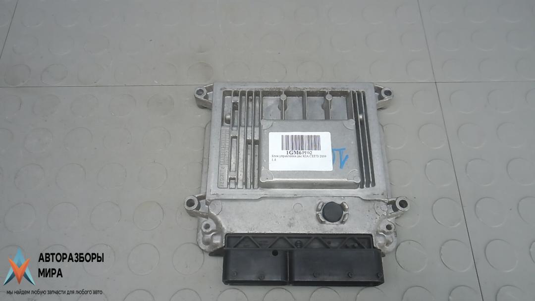 ЭБУ Kia Ceed 1 поколение 2009, 1.4 л., бензин, МКПП, хетчбэк 5 дв., 391102B602 - фото №1