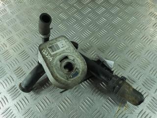 теплообменник масляного фильтра Renault Clio 3 поколение [рестайлинг] 2011, Дизель 1.5, цвет, 779744-C