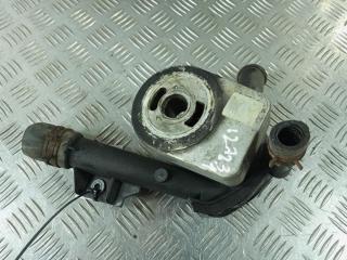 теплообменник масляного фильтра Renault Clio 3 поколение [рестайлинг] 2010, Дизель 1.5, цвет