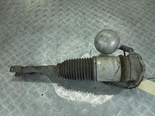 пневмостойка задняя Volkswagen Phaeton 1 поколение 2006, цвет, 3D0616002J