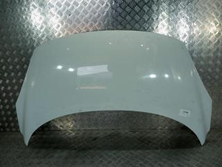 капот Renault Grand Scenic 3 поколение [2-й рестайлинг] 2013, цвет