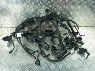 проводка двигателя BMW i3 I01 [рестайлинг] 2019, Бензин 0.6, цвет, 8653789-02