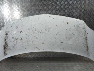 капот Renault Kangoo 2 поколение 2010, цвет