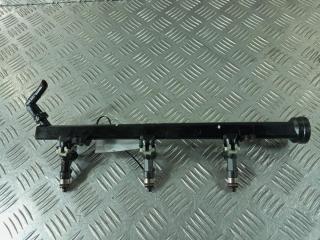 топливная рампа Peugeot 407 1 поколение 2007, цвет