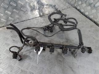 топливная рампа Volkswagen Golf 5 поколение 2003, цвет, 036133319